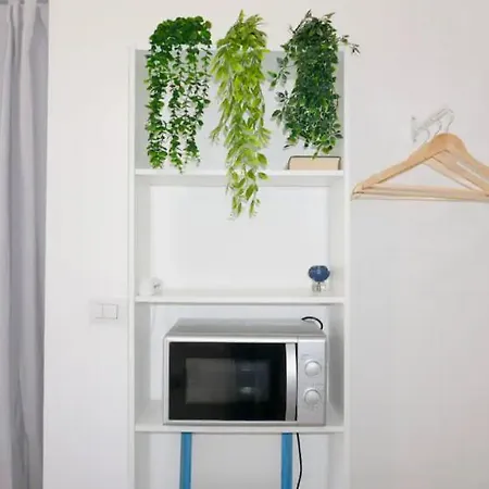 Central Apartment Apartment *